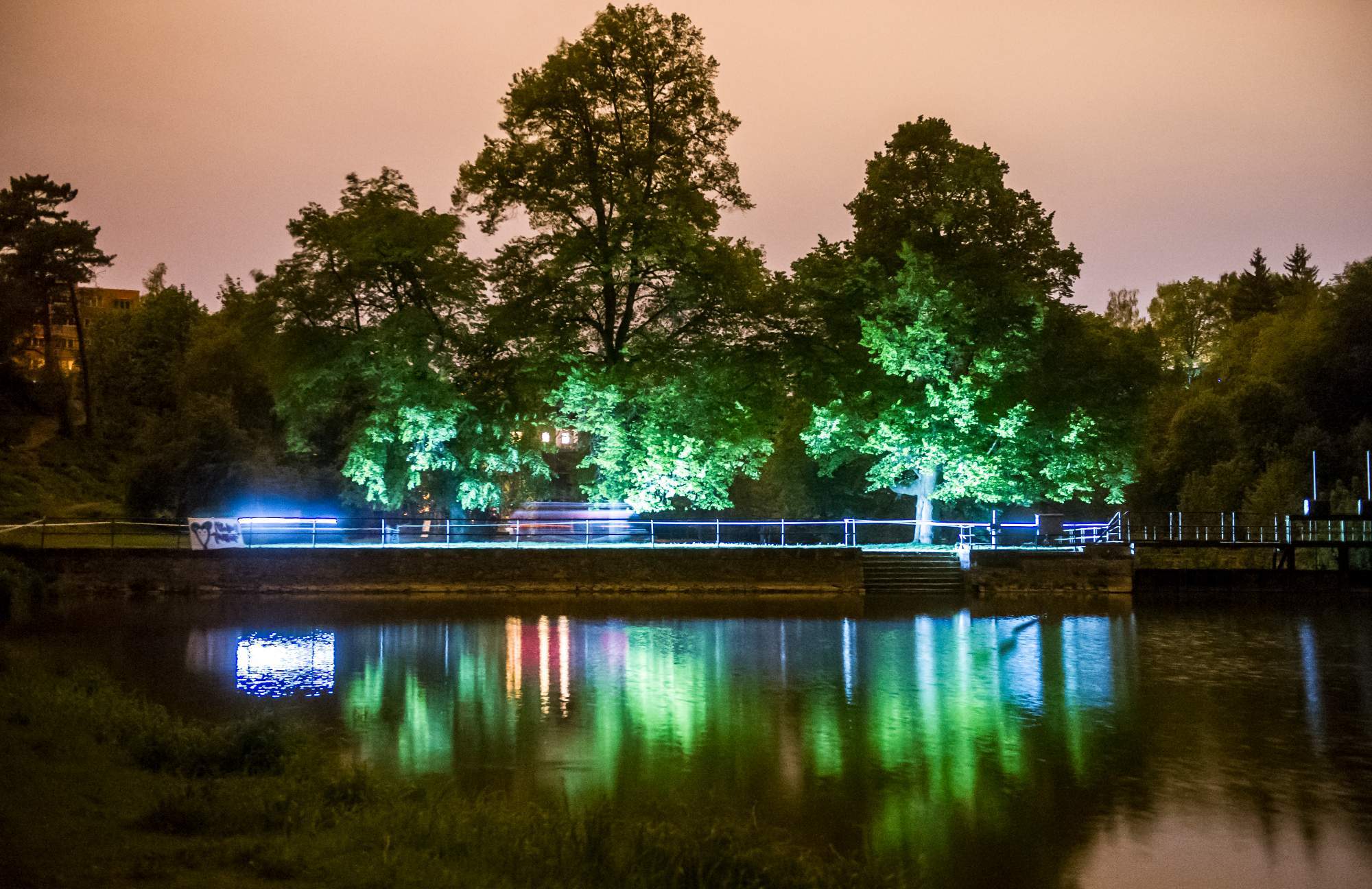 _DSC8364tfg